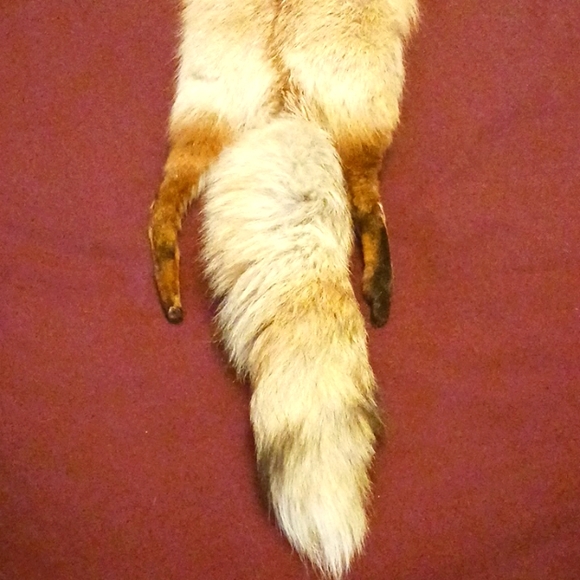 Vintage Fox wrap around neck/shoulder - Picture 6 of 6